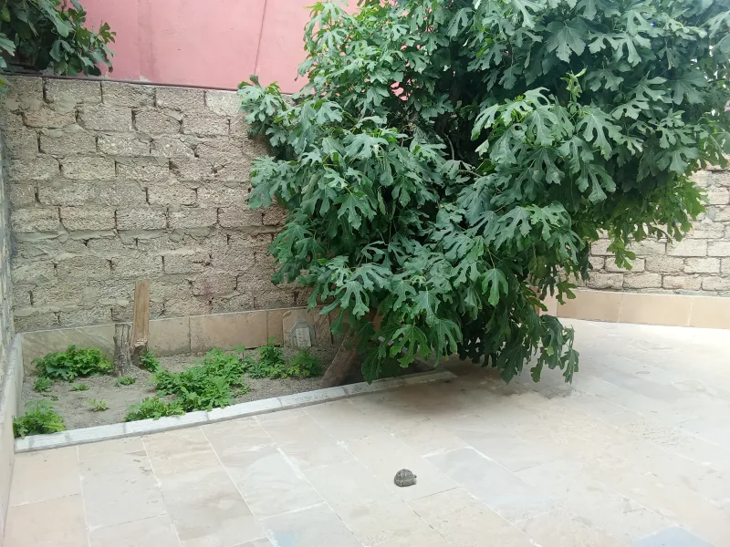 Satılır 7 otaqlı Həyət evi 240 m² Maştağa - şəkil 15