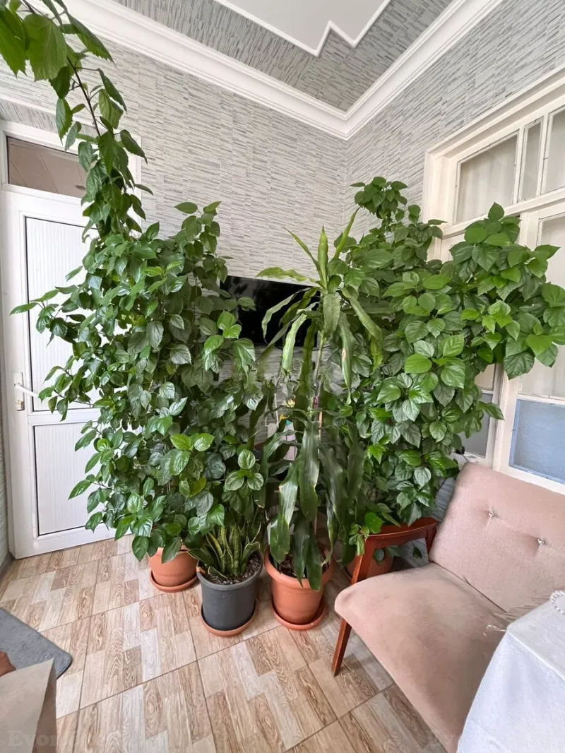 Satılır 4 otaqlı Həyət evi 106 m² Buzovna - şəkil 28