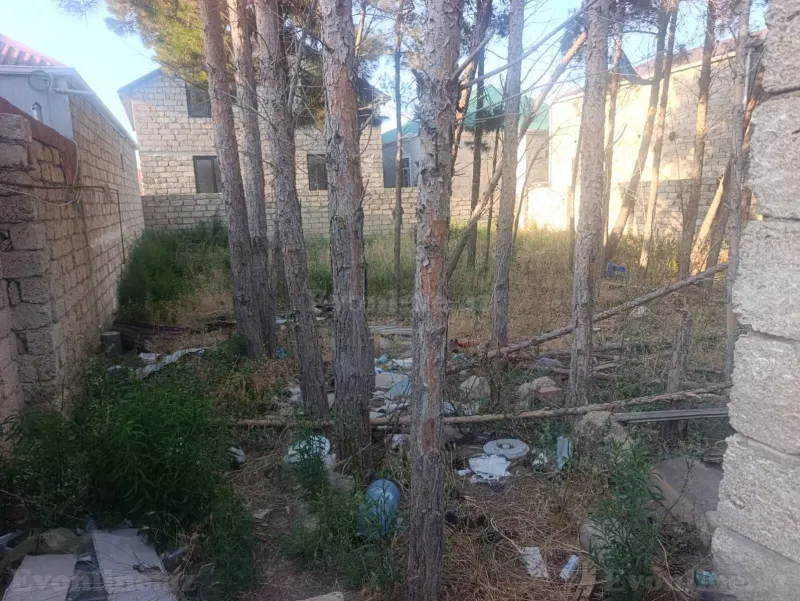 Satılır Torpaq 3 sot Binə - şəkil 2