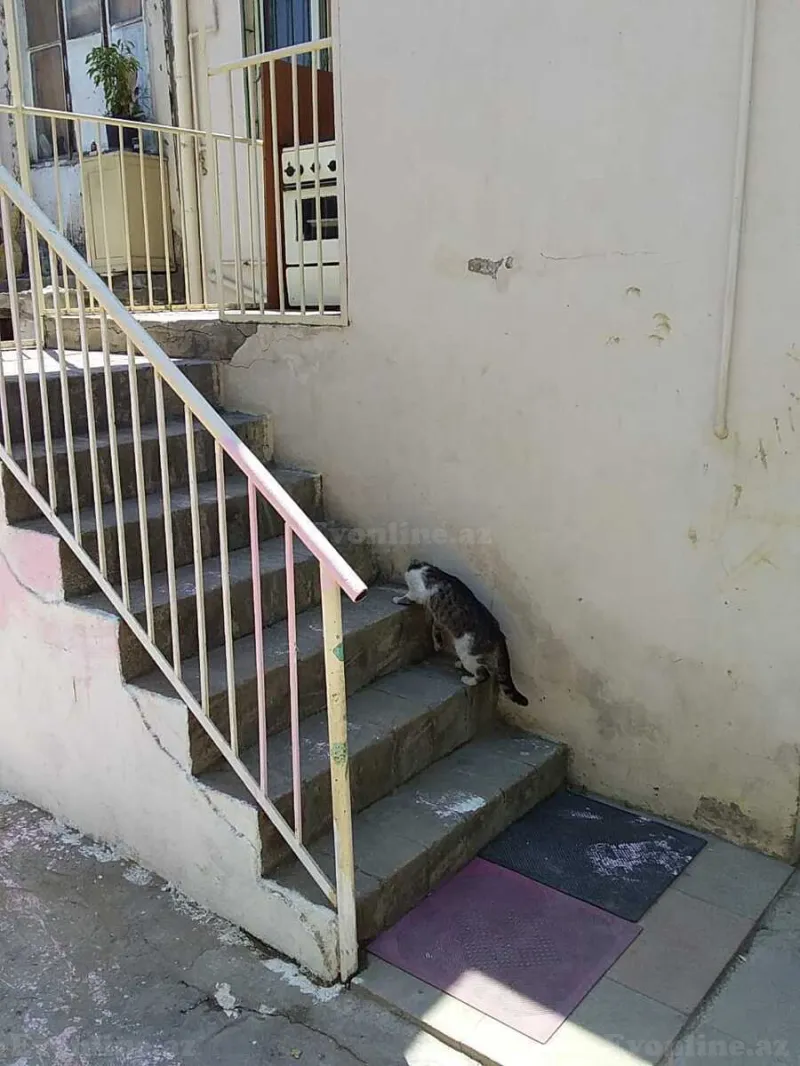 Kirayə verilir 3 otaqlı Həyət evi 85 m² Nəsimi m. - şəkil 2