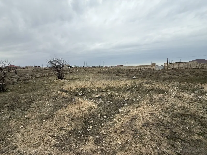 Satılır Torpaq 6 sot Qala - şəkil 3