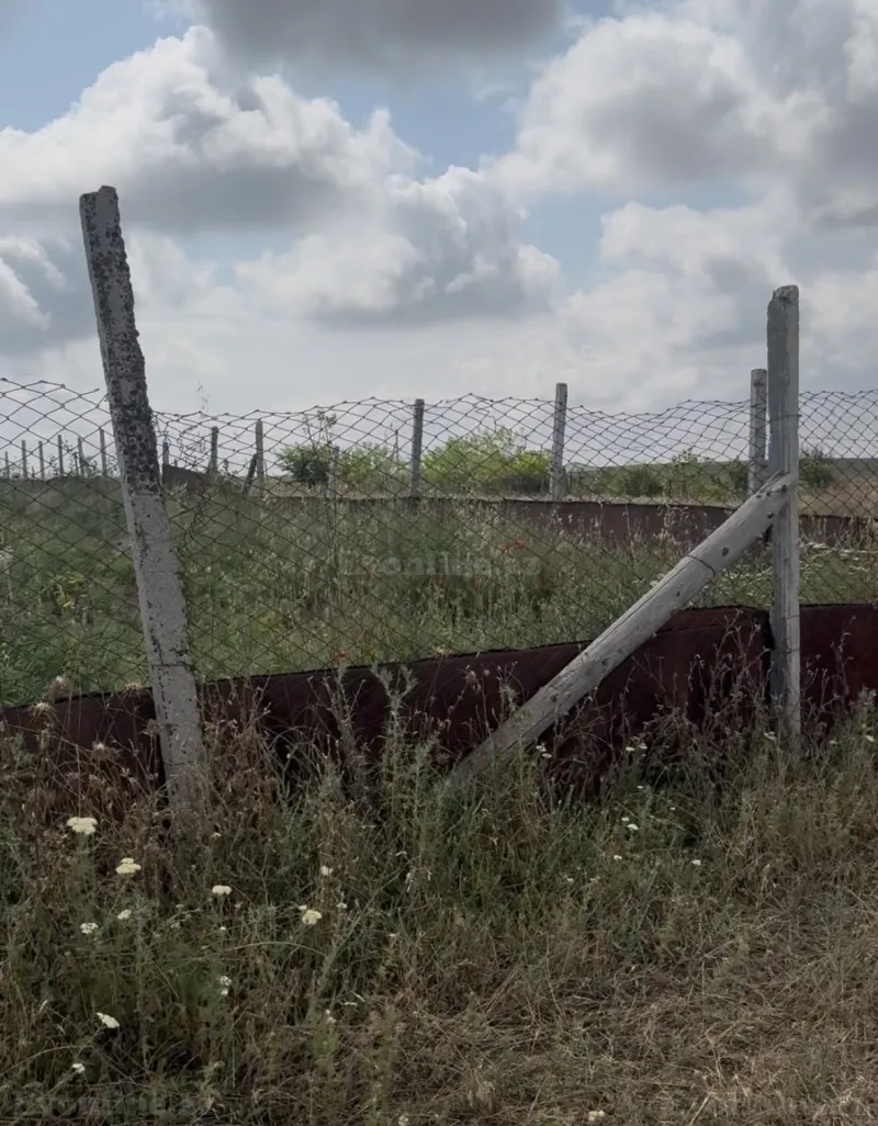 Satılır Torpaq 12 sot Şamaxı - şəkil 5