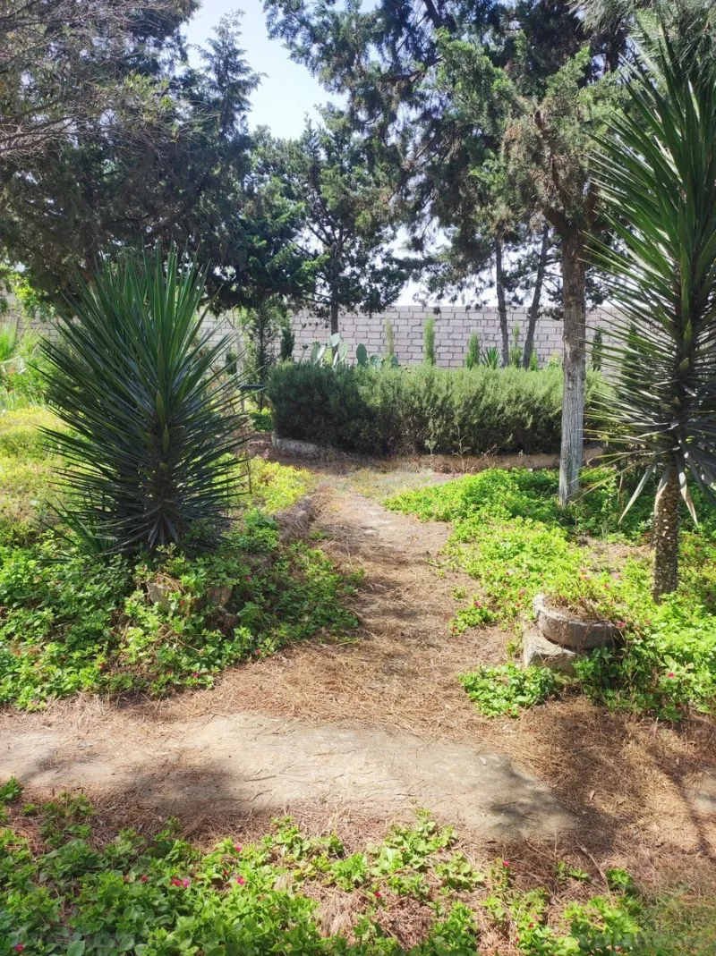 Satılır 3 otaqlı Həyət evi 160 m² Mərdəkan - şəkil 18