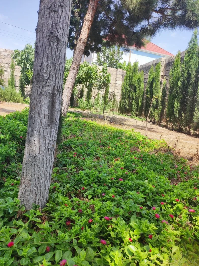 Satılır 3 otaqlı Həyət evi 160 m² Mərdəkan - şəkil 20