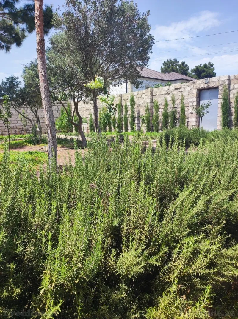 Satılır 3 otaqlı Həyət evi 160 m² Mərdəkan - şəkil 21