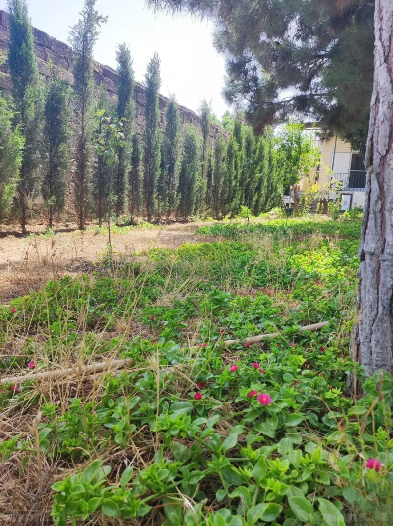 Satılır 3 otaqlı Həyət evi 160 m² Mərdəkan - şəkil 22