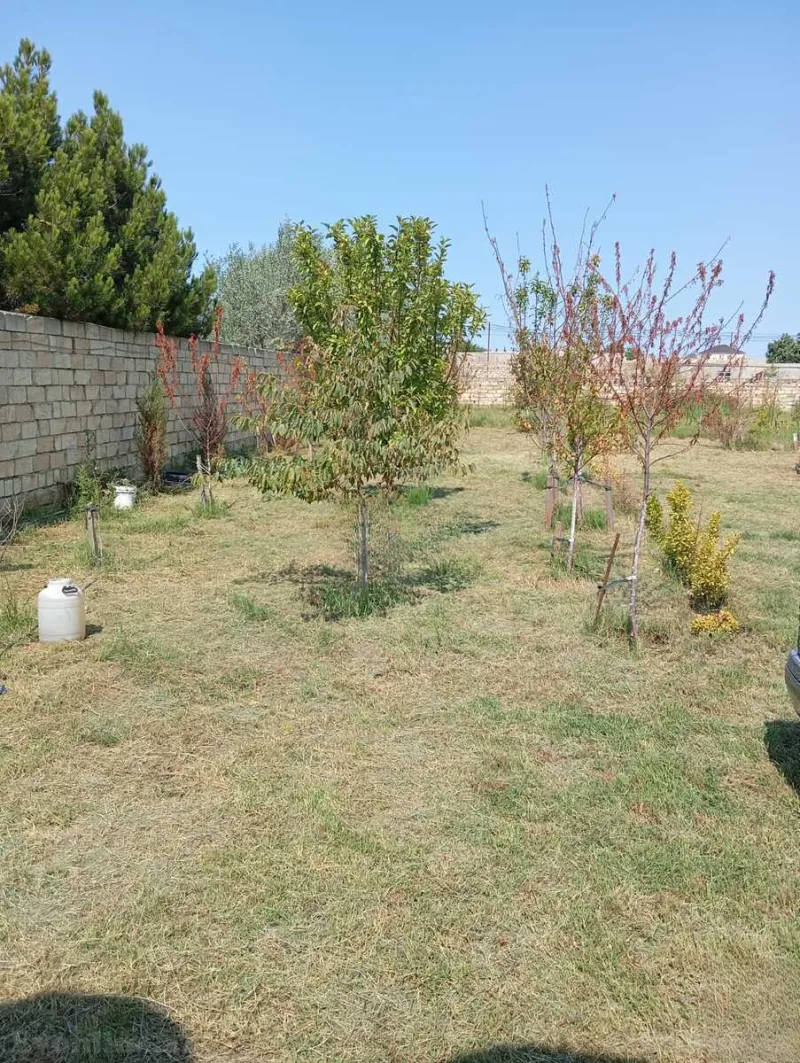Satılır Torpaq 12 sot Nardaran - şəkil 29