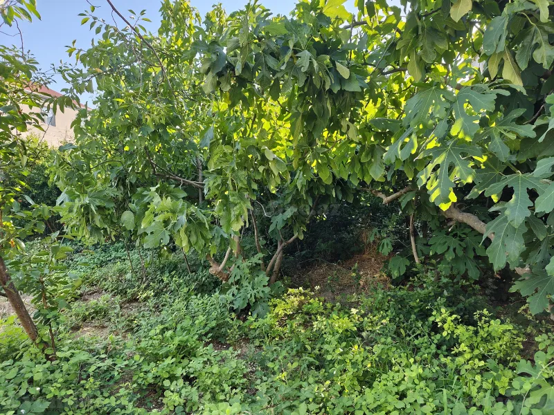 Satılır 4 otaqlı Həyət evi 140 m² Mehdiabad - şəkil 4