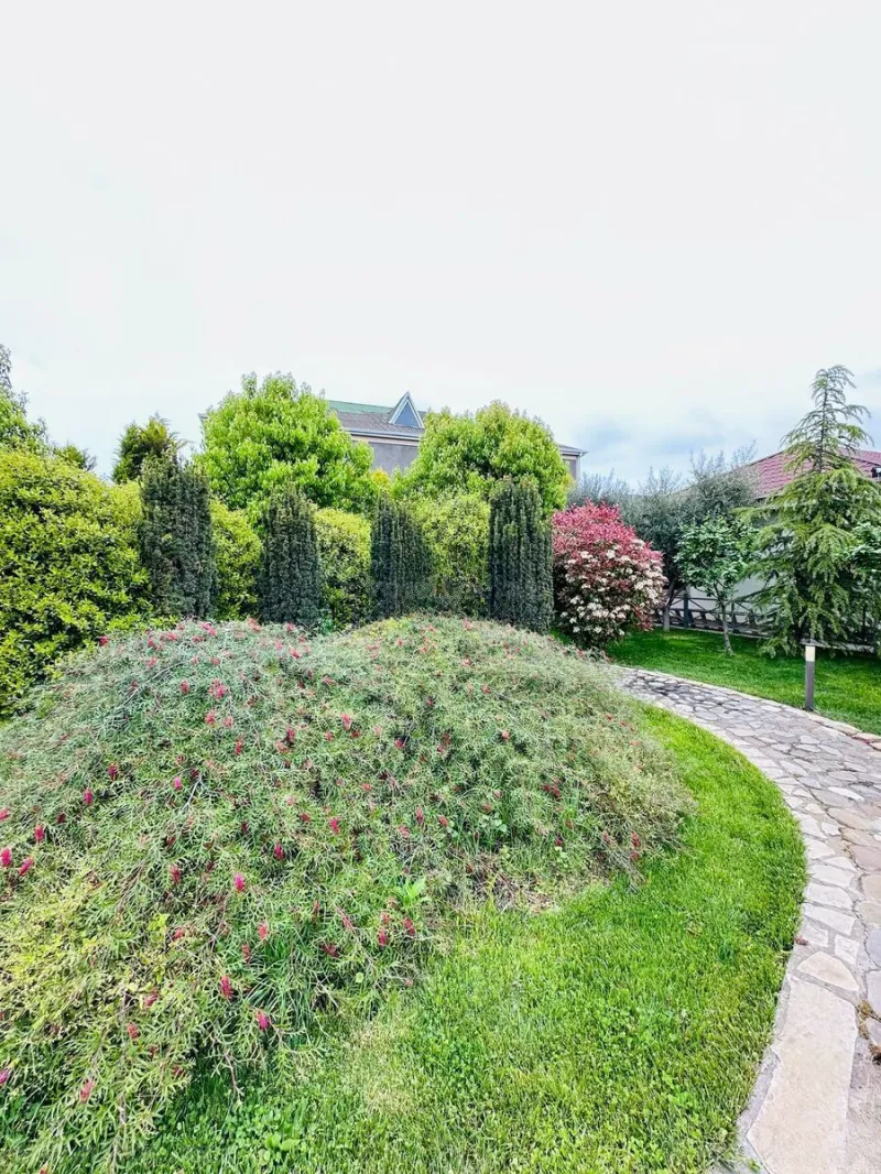 Kirayə verilir 6 otaqlı Həyət evi 500 m² Bilgəh - şəkil 3