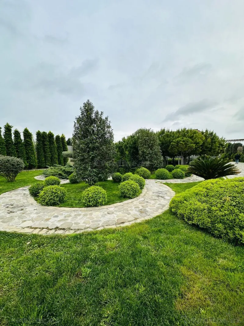 Kirayə verilir 6 otaqlı Həyət evi 500 m² Bilgəh - şəkil 6
