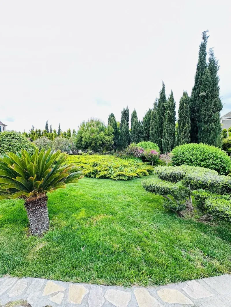 Kirayə verilir 6 otaqlı Həyət evi 500 m² Bilgəh - şəkil 8