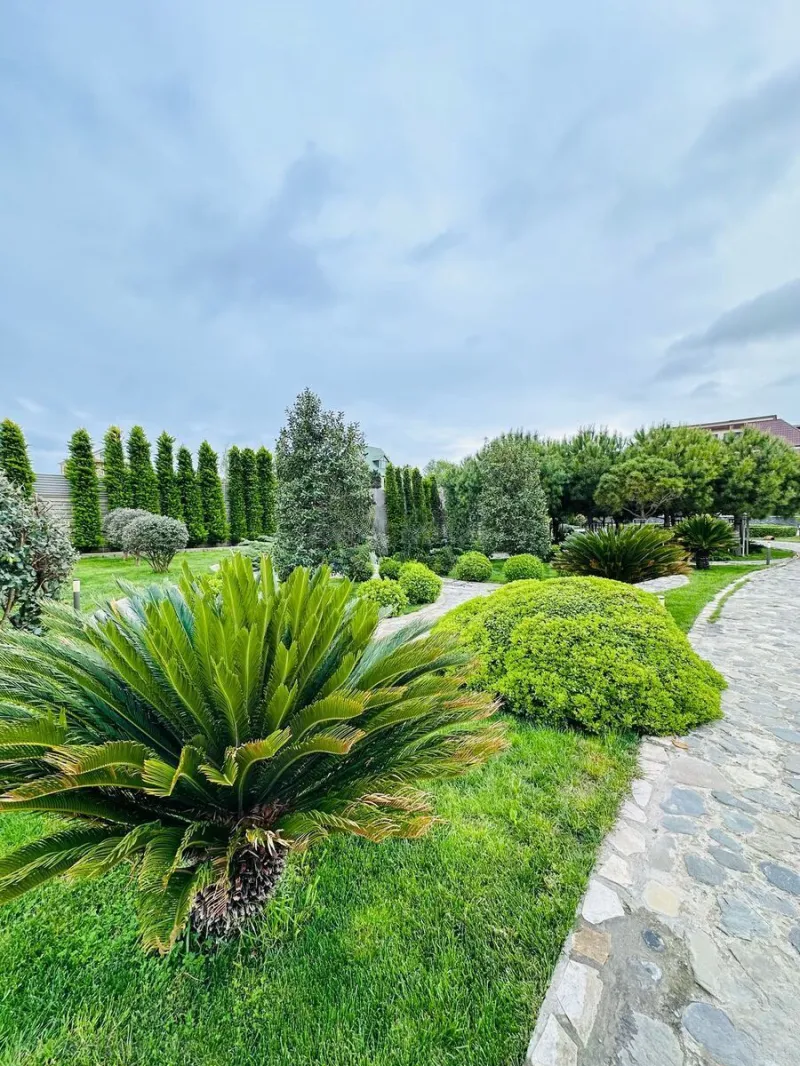 Kirayə verilir 6 otaqlı Həyət evi 500 m² Bilgəh - şəkil 11
