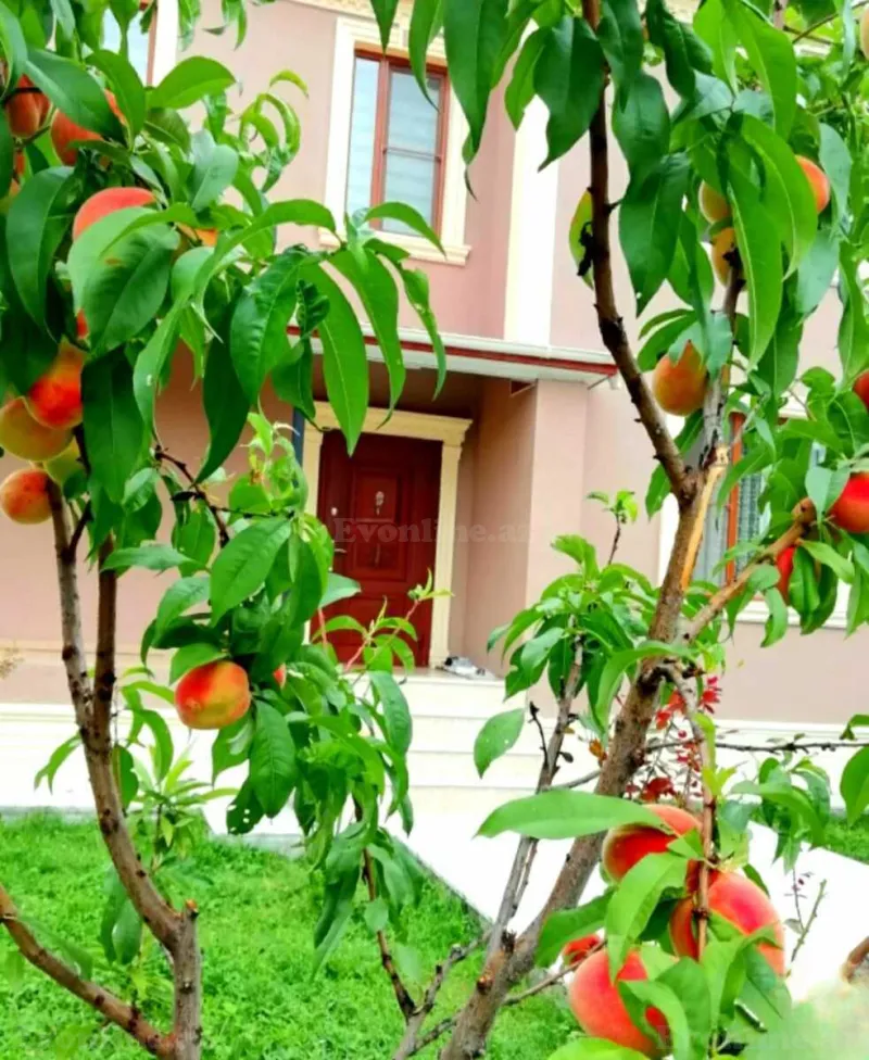 Kirayə verilir 4 otaqlı Həyət evi 130 m² Qəbələ - şəkil 17
