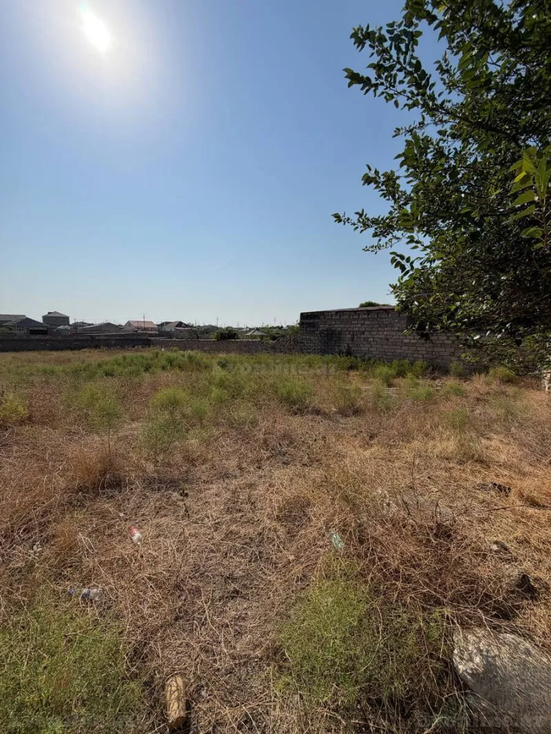 Satılır Torpaq 12 sot Qala - şəkil 2