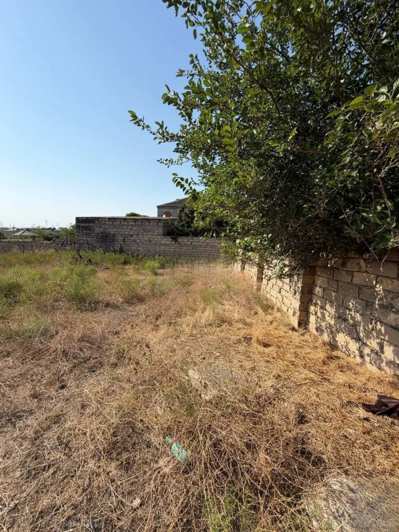 Satılır Torpaq 12 sot Qala - şəkil 3