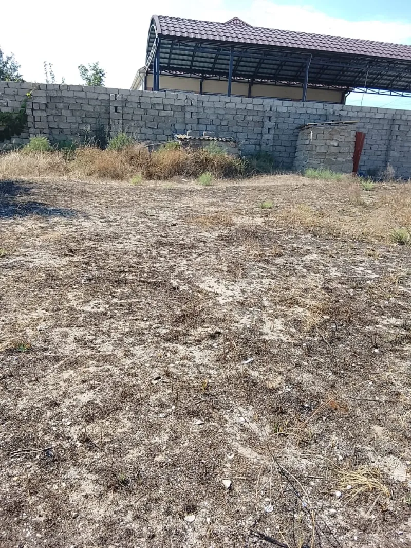 Satılır Torpaq 5 sot Qala - şəkil 2