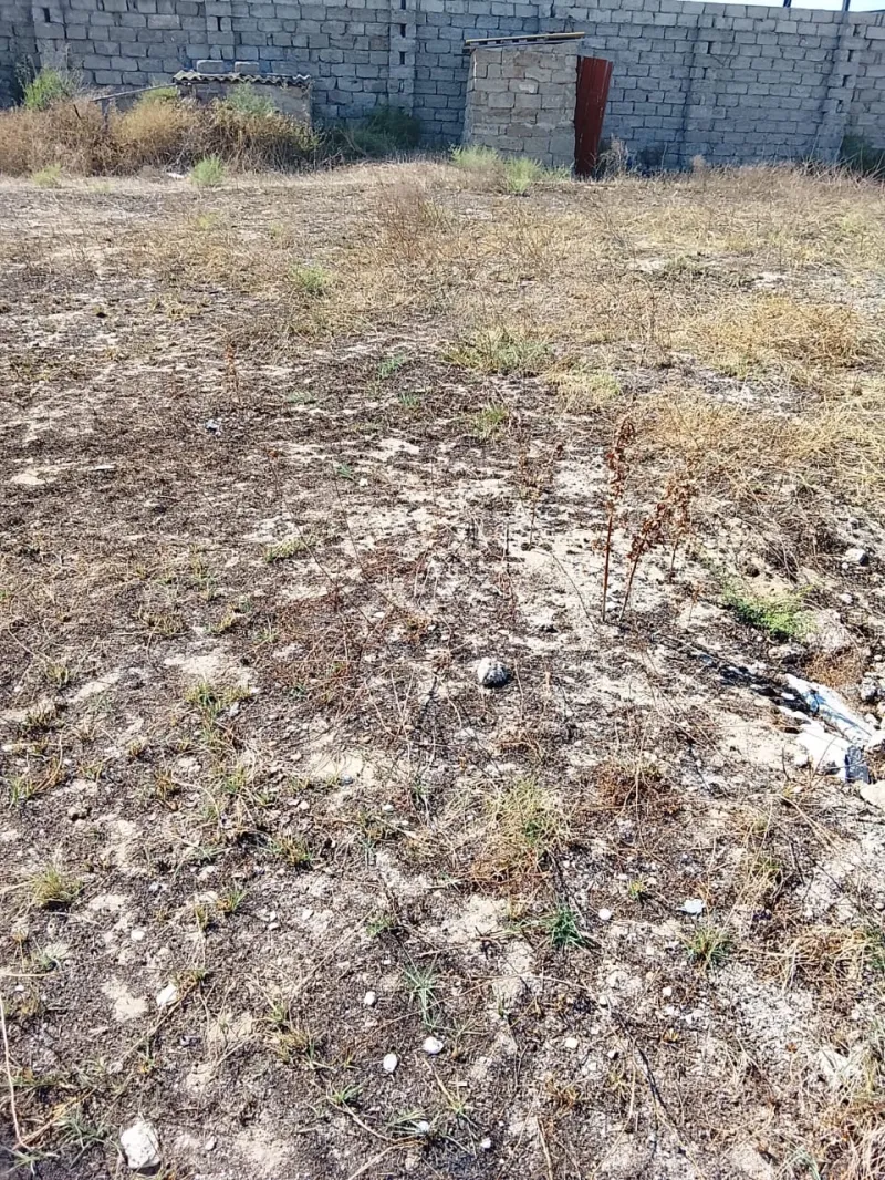 Satılır Torpaq 5 sot Qala - şəkil 4