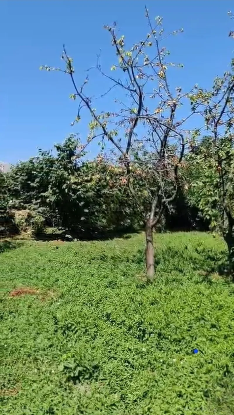 Satılır 2 otaqlı Həyət evi 80 m² Xaçmaz - şəkil 12