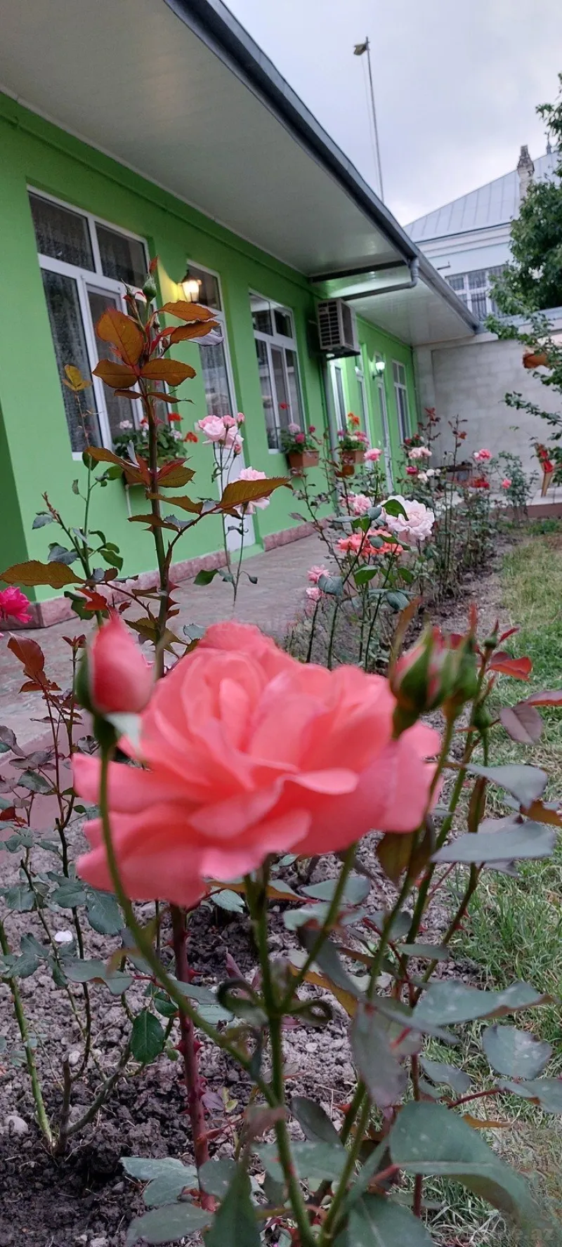 2 otaqlı Həyət evi 100 m² Quba Kirayə verilir