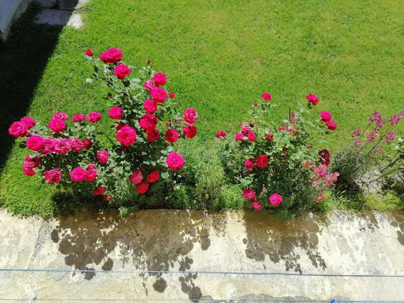 Kirayə verilir 2 otaqlı Həyət evi 85 m² Qəbələ - şəkil 5