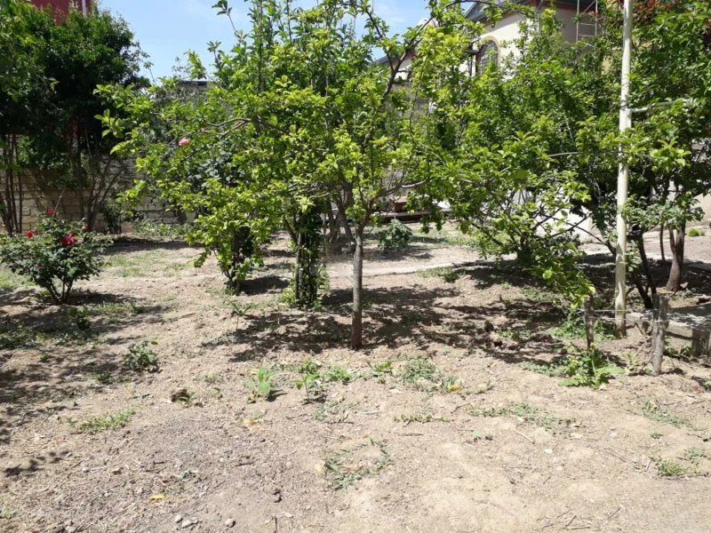Satılır Torpaq 8 sot Bakıxanov - şəkil 2