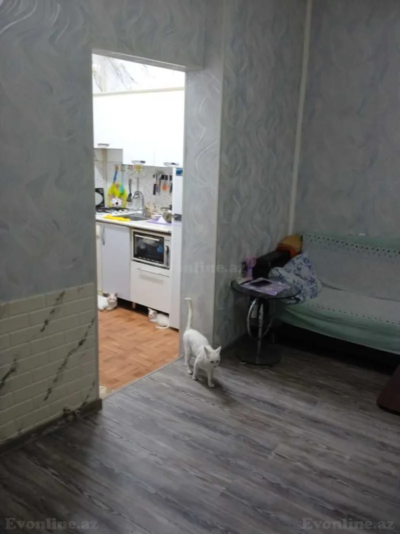 Satılır 2 otaqlı Həyət evi 45 m² Biləcəri - şəkil 13