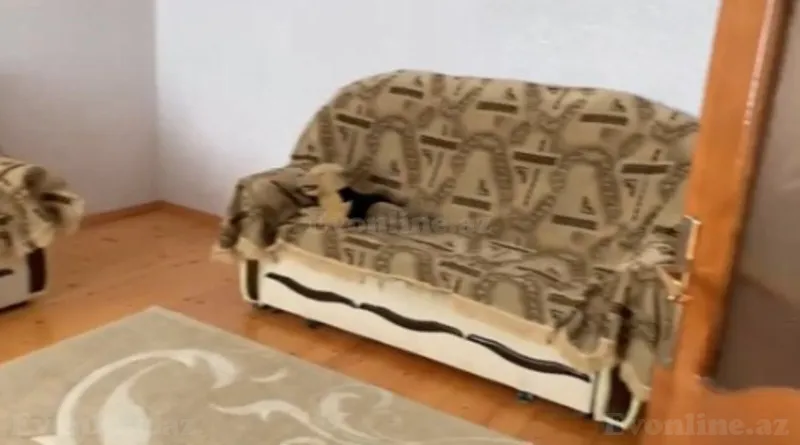 Satılır 3 otaqlı Həyət evi 120 m² Masazır - şəkil 4