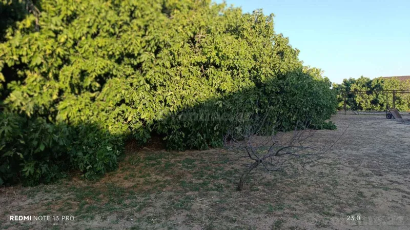 Satılır 6 otaqlı Həyət evi 500 m² Maştağa - şəkil 9