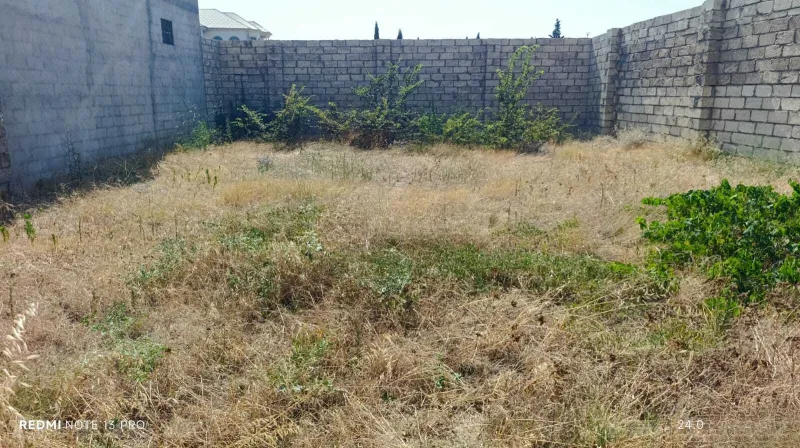 Satılır Torpaq 2 sot Albalılıq - şəkil 3