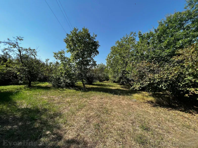 Satılır Torpaq 5 sot Qəbələ - şəkil 11