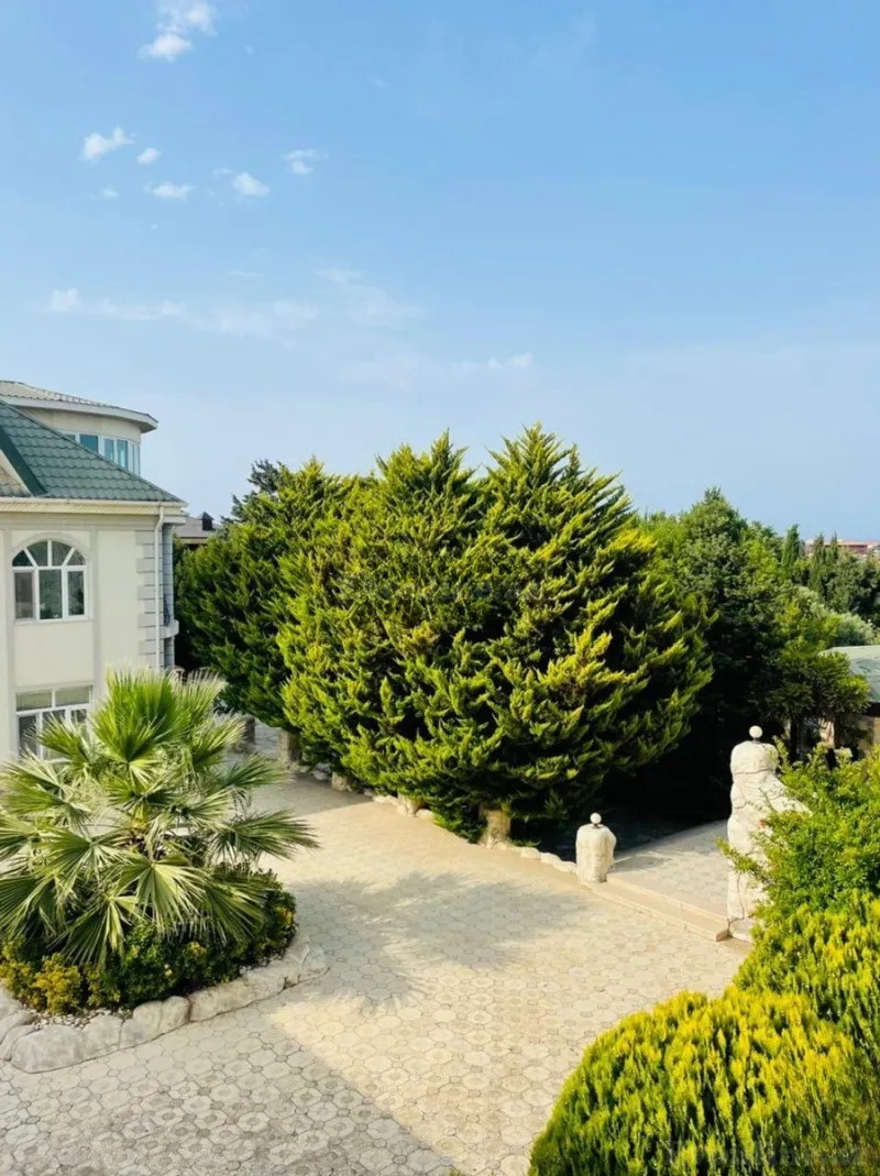Kirayə verilir 6 otaqlı Həyət evi 500 m² Bilgəh - şəkil 8