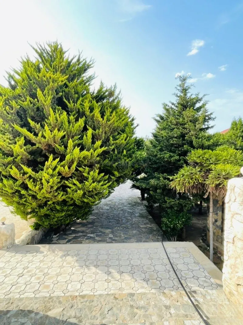 Kirayə verilir 6 otaqlı Həyət evi 500 m² Bilgəh - şəkil 9