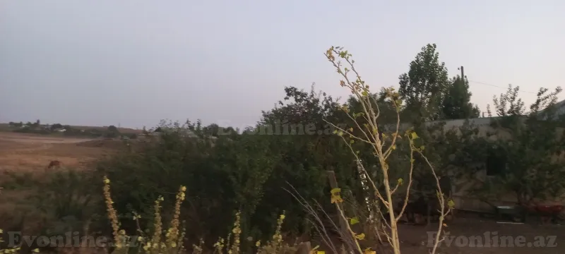 Satılır 3 otaqlı Həyət evi 50 m² İsmayıllı - şəkil 4