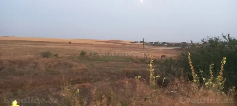 Satılır 3 otaqlı Həyət evi 50 m² İsmayıllı - şəkil 5