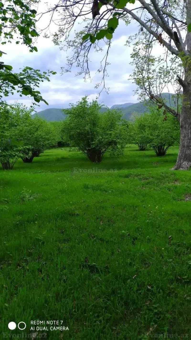 Satılır Torpaq 400 sot Qax - şəkil 7