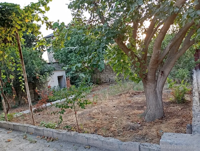Satılır Torpaq 1.5 sot Qala