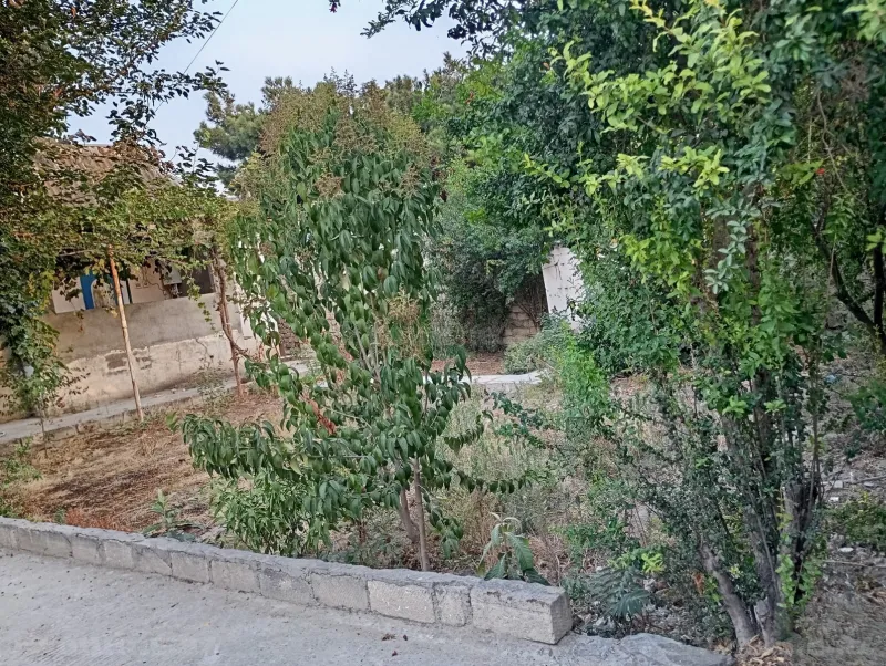 Satılır Torpaq 1.5 sot Qala - şəkil 2