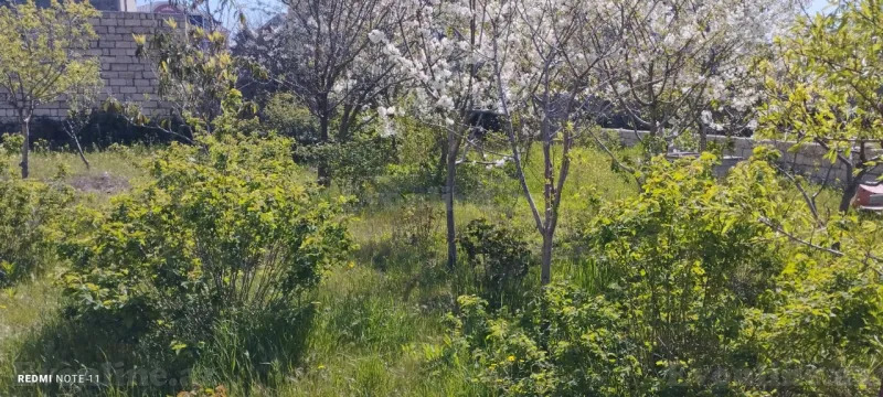 Satılır 7 otaqlı Həyət evi 240 m² Buzovna - şəkil 3