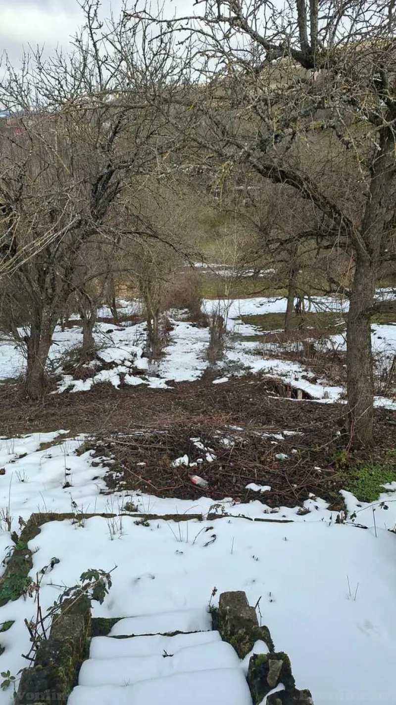 Satılır Torpaq 23 sot Şamaxı - şəkil 4