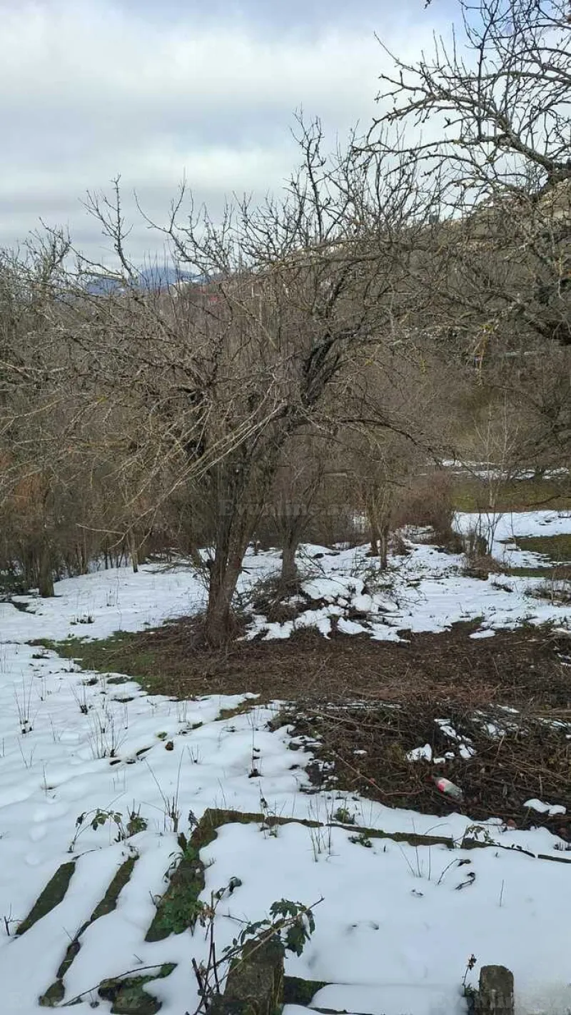 Satılır Torpaq 23 sot Şamaxı - şəkil 6