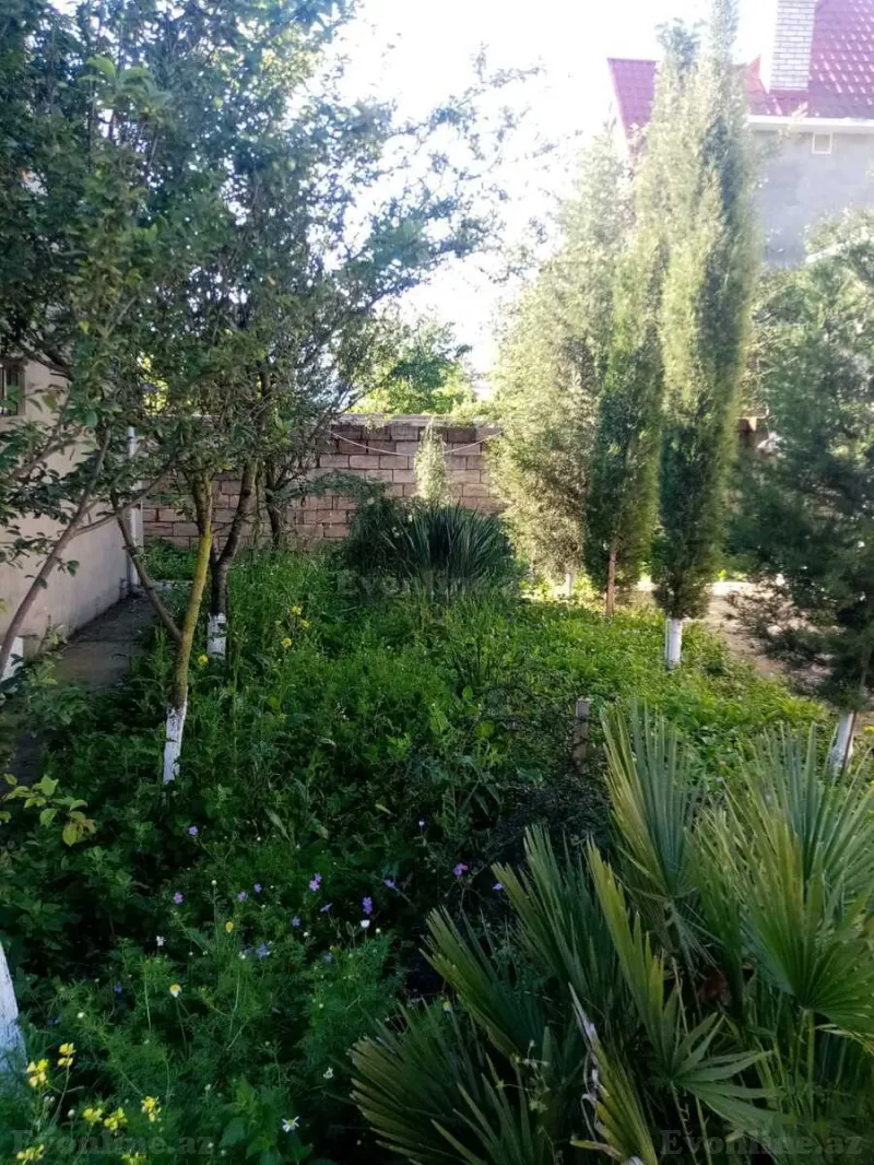 Satılır Obyekt 300 m² Xaçmaz - şəkil 13