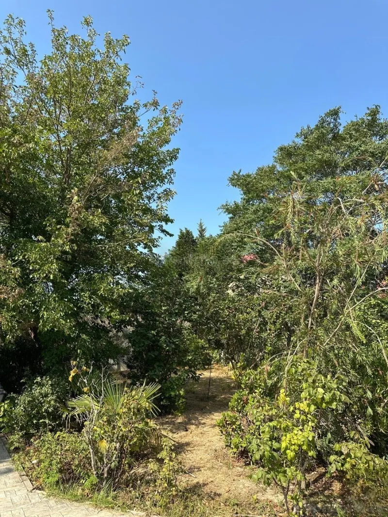 Satılır 5 otaqlı Həyət evi 175 m² Novxanı - şəkil 24
