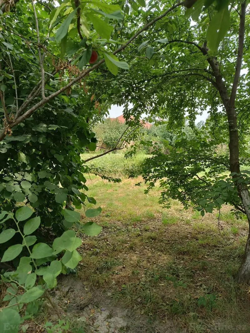 Satılır Torpaq 12 sot Quba