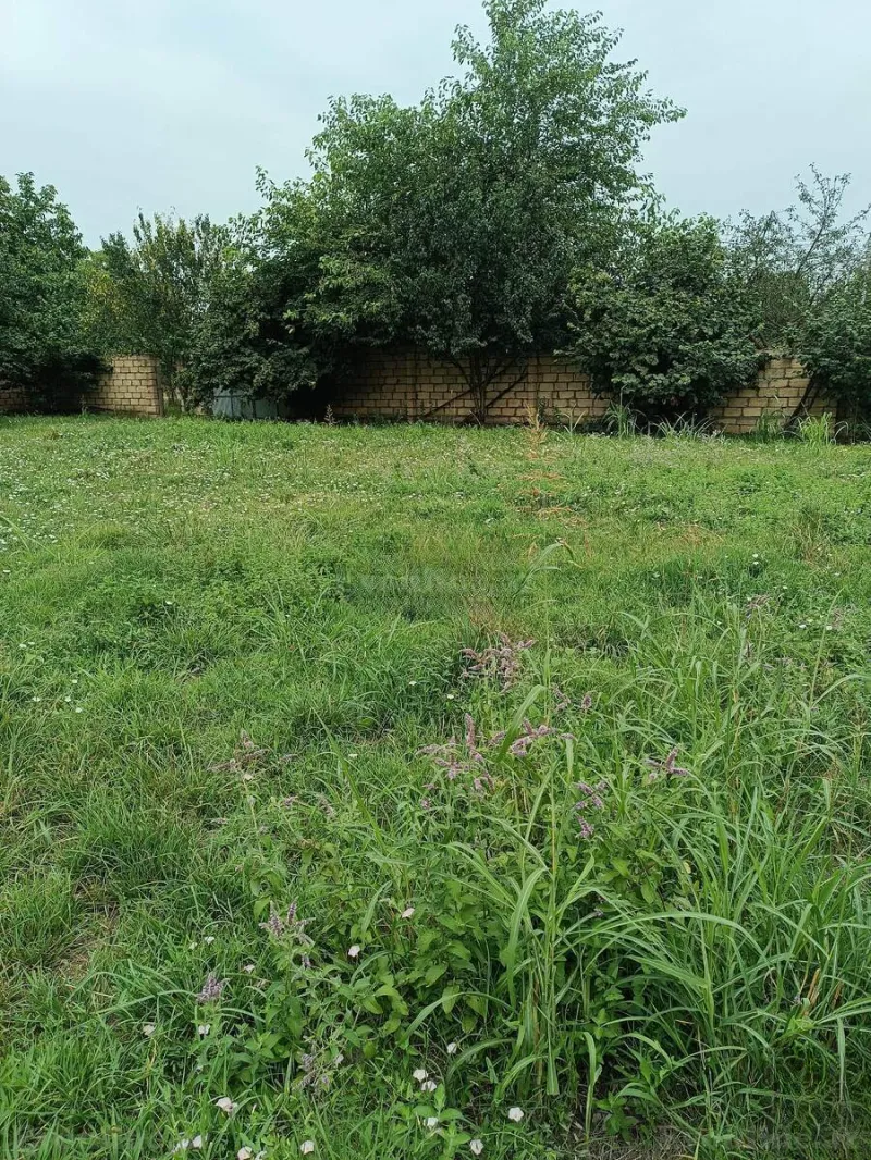 Satılır Torpaq 12 sot Quba - şəkil 5