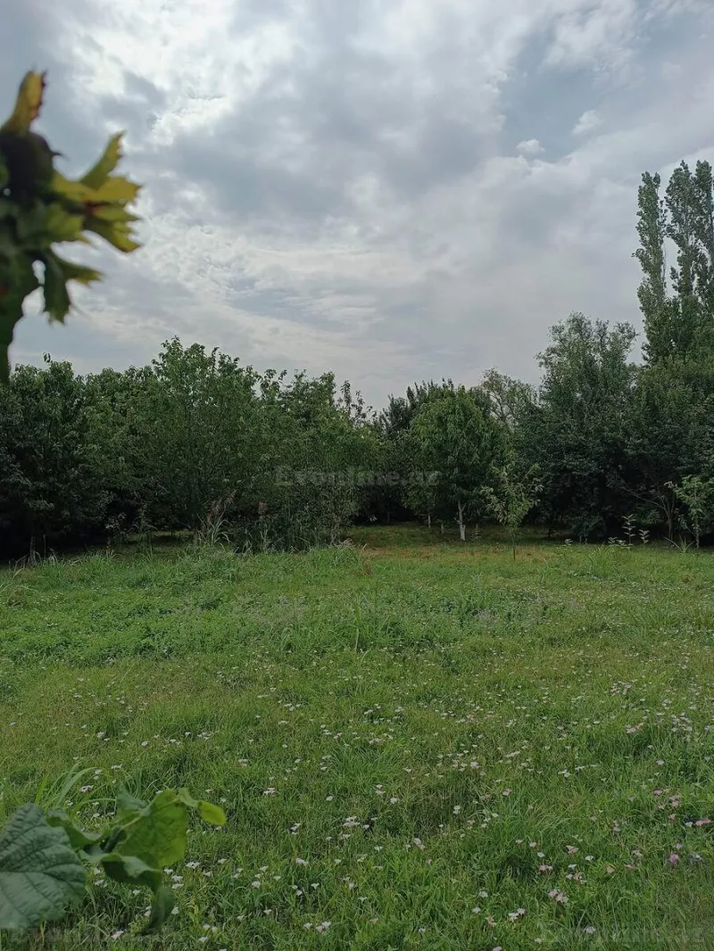 Satılır Torpaq 12 sot Quba - şəkil 8