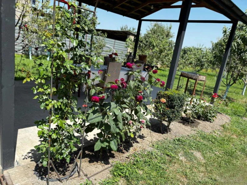 4 otaqlı Həyət evi 2000 m² Quba Kirayə verilir