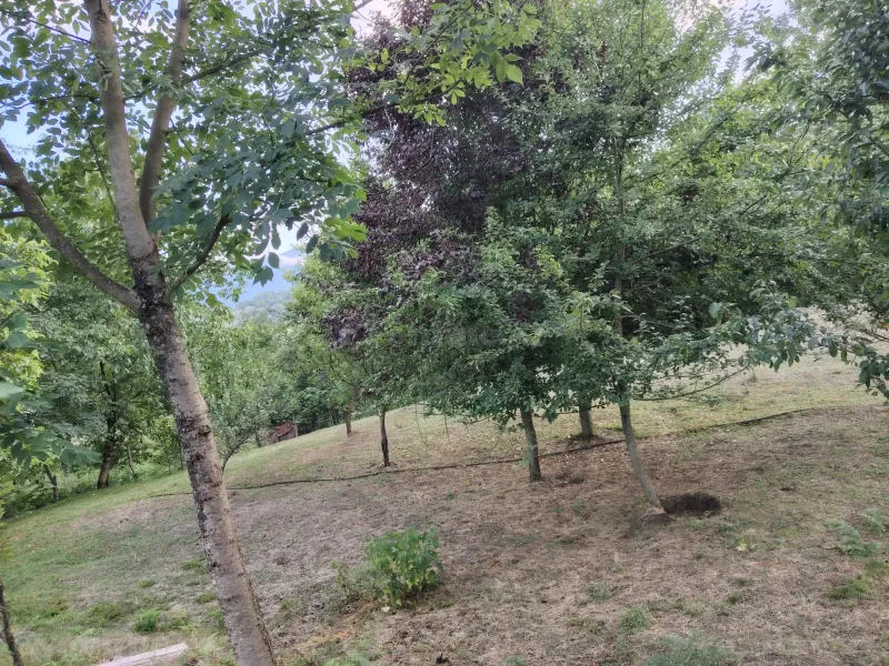 Satılır Torpaq 4 sot Lerik - şəkil 3
