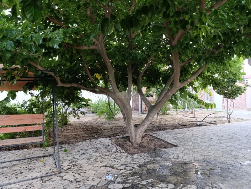Kirayə verilir 4 otaqlı Həyət evi 100 m² Pirşağı - şəkil 5