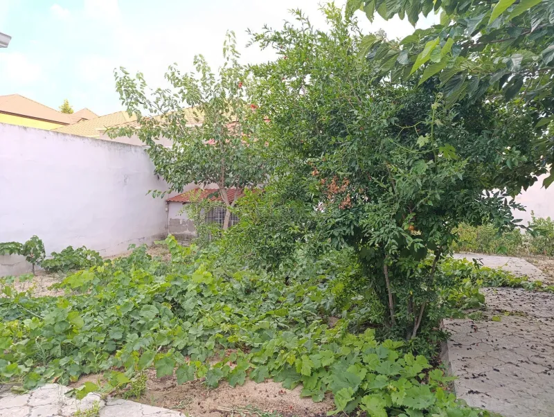 Kirayə verilir 4 otaqlı Həyət evi 100 m² Pirşağı - şəkil 7