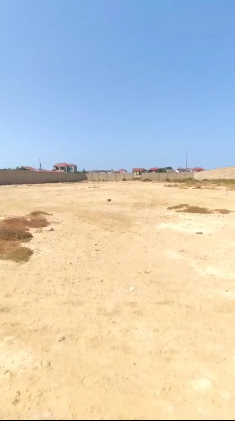 Torpaq Türkan Satılır